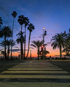 the sun is setting behind palm trees and street lights in front of a crosswalk