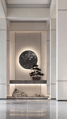 a bonsai tree in the middle of a room with white walls and flooring