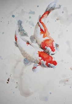 watercolor painting of two orange and white kohaki fish swimming in the pond