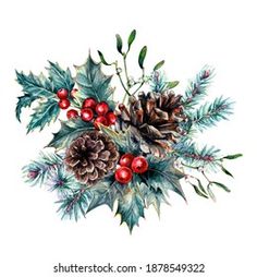 watercolor painting of holly, pine cones and berries