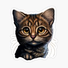 a close up of a cat's face with yellow eyes sticker on a white background