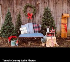 a couch and christmas trees in front of a wooden fence