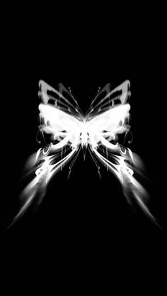 a black and white photo of a butterfly with light streaks on it's wings