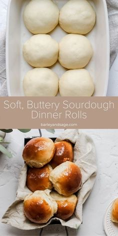 Sourdough With Starter, Fluffy Sourdough Dinner Rolls, Sour Dough Thanksgiving, Sourdough Bread Thanksgiving, Sourdough Honey Rolls, Sourdough Honey Butter Rolls, Sour Dough Dinner Rolls Recipe, Sourdough Recipes Thanksgiving, Easy Sourdough Dinner Rolls - Soft And Fluffy