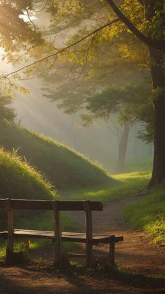 a wooden bench sitting in the middle of a forest