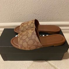 Brand New Coach Sandals. Comes With Box Price Includes Shipping Box. Trendy Shoes For Women Sandals, Kurt Geiger Sandals, Coach Clogs, Guess Slides, Aesthetic Sandals, Brown Shoes Outfit, Name Brand Shoes, Brown Slides