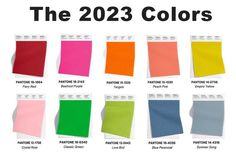 color swatches for the new pantone line from 2012 to 2013, with different colors