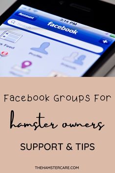 facebook groups for hamster omers support and tips on how to use the app