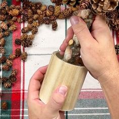 a person holding a cup with pine cones around it