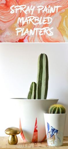 two potted cacti are sitting next to each other on a wooden table