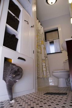 a gray cat is hiding behind the cabinet in this bathroom with white tile flooring