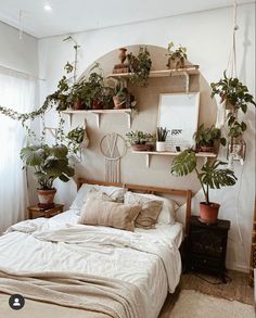 a bed with lots of potted plants on the headboard and shelves above it