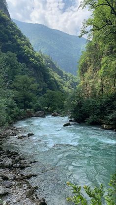 a river flowing through a lush green forest covered hillside next to a tall mountain range