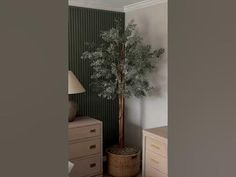 there is a small tree in the corner of this room with two dressers and a lamp