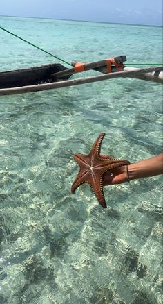 a starfish is being held by a person in the water