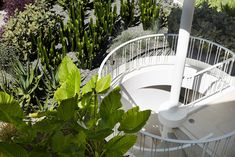 a white spiral staircase surrounded by greenery