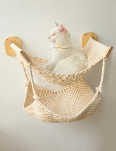 a white cat is sitting in a crocheted hammock hanging on the wall