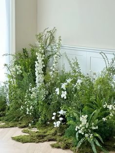 some white flowers and green plants on the ground in front of a wall with a window