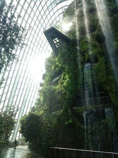 the inside of a building with plants growing on it's side and people walking around