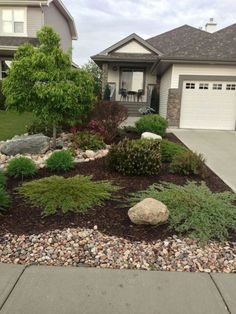 landscaping in front of a house with rocks and plants on the side of the road