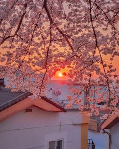 the sun is setting behind cherry blossoms on trees in front of buildings and rooftops