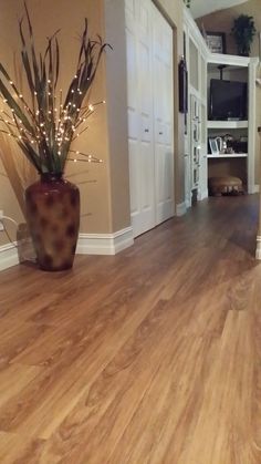 a large potted plant sitting on the floor in front of an open kitchen and living room