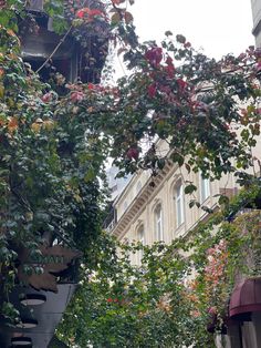 the street is lined with lots of trees and flowers in front of tall buildings on both sides