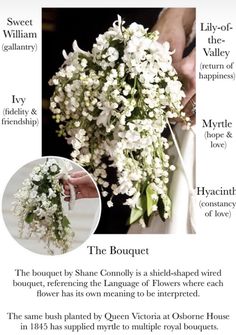 an info sheet with white flowers on it