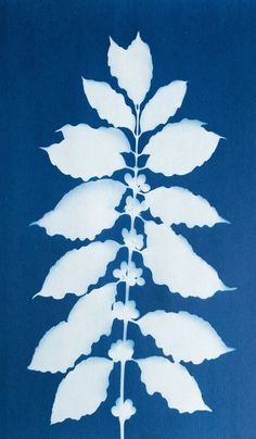 a blue and white photograph of a leaf