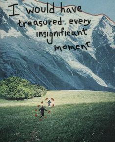 a book cover with an image of a person walking through a field in front of mountains