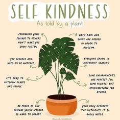 LILAS | Women’s Wellness on Instagram: “Self-Kindness as told by a plant 🌿 During these unprecedented times, most of us are suffering from the stress that the uncertainty has…” Self Kindness, Habit Ideas, Let It Grow, Mental Health Activities, Positive Quotes For Women, Receding Gums, Plant Therapy, Monstera Plant