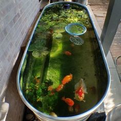 a large metal tub filled with lots of water and goldfish in it's side