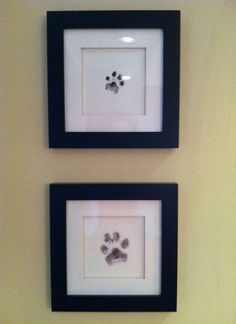 two framed pictures with an animal's paw prints on the wall next to each other