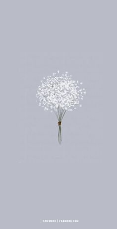 a dandelion in the middle of a gray background with white flowers on it