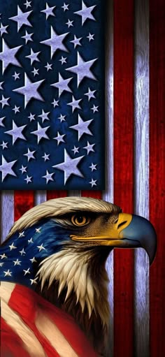 an eagle with the american flag in the background