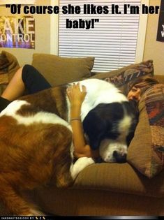 a woman laying on top of a couch next to a brown and white dog with it's eyes closed