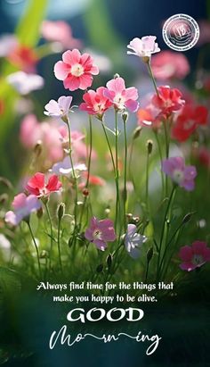 some pink and white flowers with the words good morning written on it's side