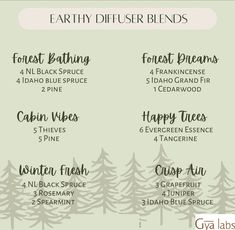 Earthy Diffuser Blends Idaho Blue Spruce Diffuser Blends, Snow Day Diffuser Blend, Rosemary Essential Oil For Hair, Essential Oil For Hair, Rosemary Oil For Hair Growth, Rosemary Oil For Hair, Fragrance Blends, Rosemary Essential Oil