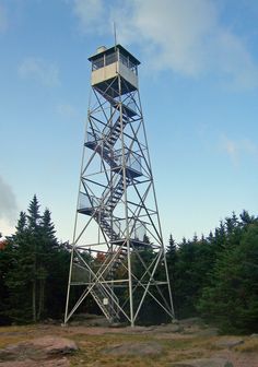 a tall metal tower sitting in the middle of a forest