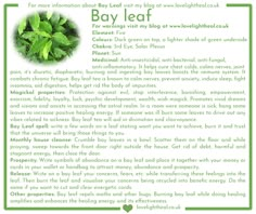 Bay Leaf Image Burning A Bay Leaf, Magical Properties Of Bay Leaves, Bay Leaf Spiritual Meaning, Bay Leaf Magical Properties, Bay Leaves Magical Properties, Magical Properties Of Vanilla, Bay Leaves Witchcraft, Bay Leaf Tea Benefits, Bay Leaf Manifestation