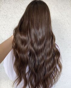 Solid Color Brown Hair, Chestnut Chocolate Brown Hair, Normal Brown Hair, Warm Tone Brunette, Golden Chocolate Brown Hair, Almond Brown Hair, Solid Brunette Hair Color, Chocolate Mocha Hair Color, Brown Asian Hair