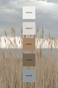 the color scheme is shown in shades of brown, beige and blue