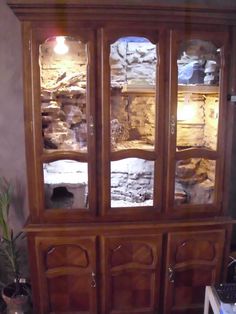 a wooden china cabinet with glass doors in a room next to a potted plant