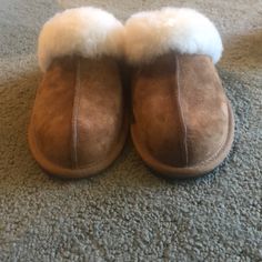 Excellent Condition. Never Worn Classic Closed Toe Winter Slippers, Classic Round Toe Synthetic Slippers, Classic Round Toe Slippers For Fall, Shoes Ugg, Ugg Slippers, Womens Uggs, Ugg Shoes, Slippers, Size 6