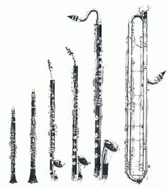 several different types of musical instruments lined up in a row on a white background with black and white ink