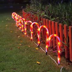 lighted candy canes are lined up on the grass near a fence in front of some bushes