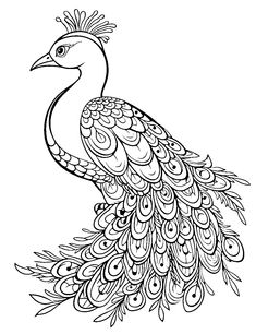 a black and white drawing of a peacock