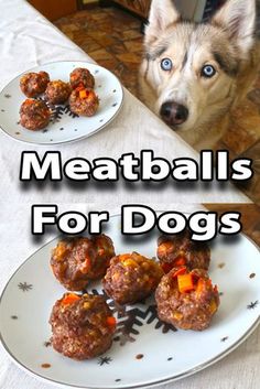 a dog is looking at some meatballs on a plate