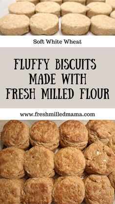 puffy biscuits made with fresh milled flour are the perfect dessert for any occasion