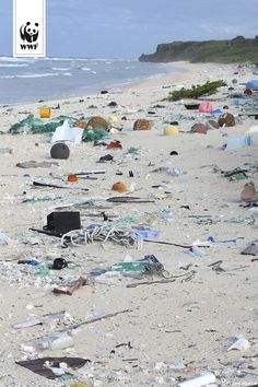 the beach is littered with plastic and trash